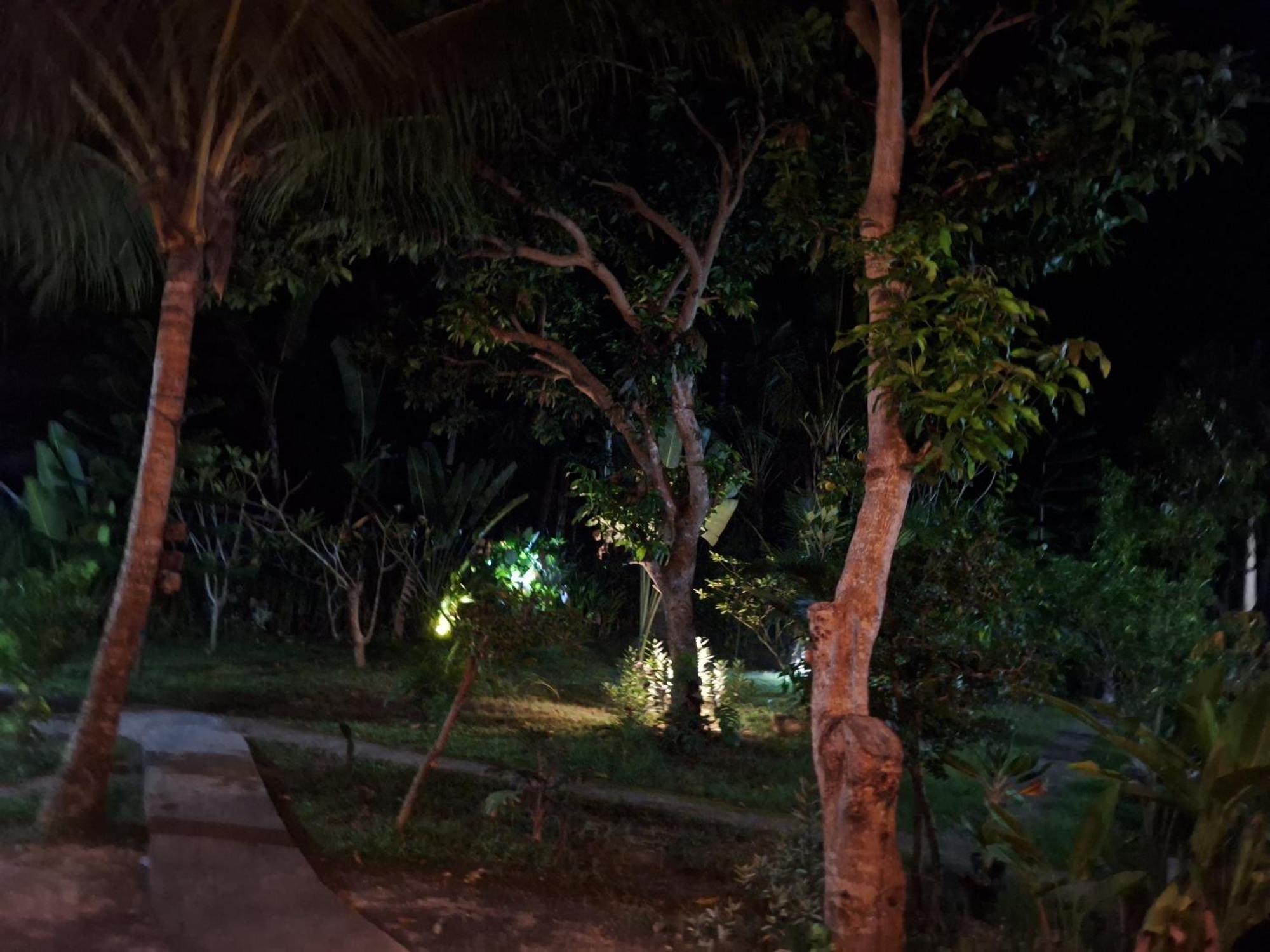 Toyapakeh Jingga Home Penida חדר תמונה